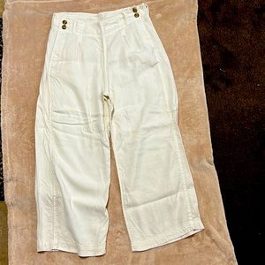 AMERICAN EAGLE Wide Leg Ankle Pants Size 6